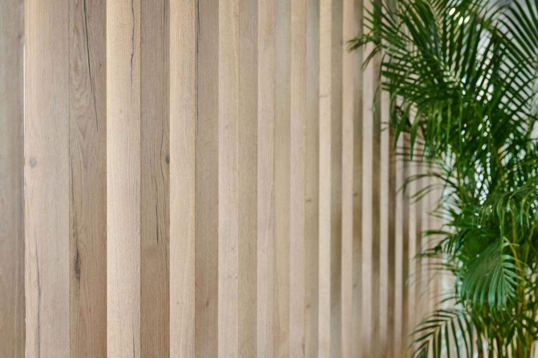 Background image of a wooden wall and green ferns to the right.
